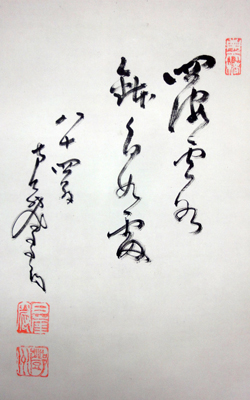 鄧州全忠 (南天棒) 7