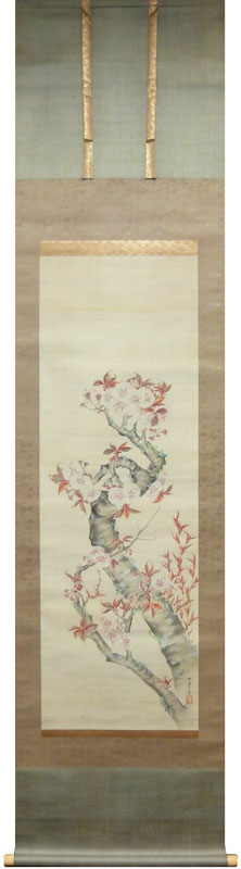 三熊思孝(花顛) 1
