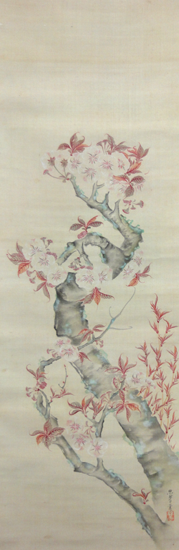 三熊思孝(花顛) 2