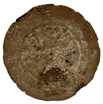 百万塔（自心印陀羅尼経収納）