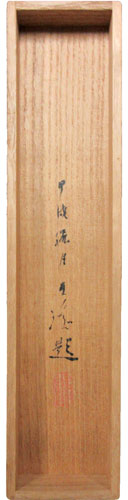 石崎光瑶 5