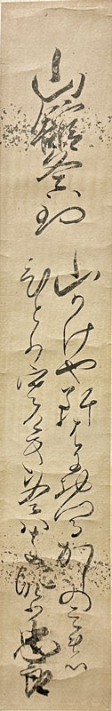 一条忠良