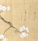 三熊花顛 桜図